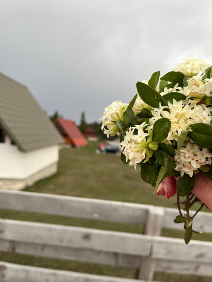 Bungalows Krstajic Žabljak Esterno foto