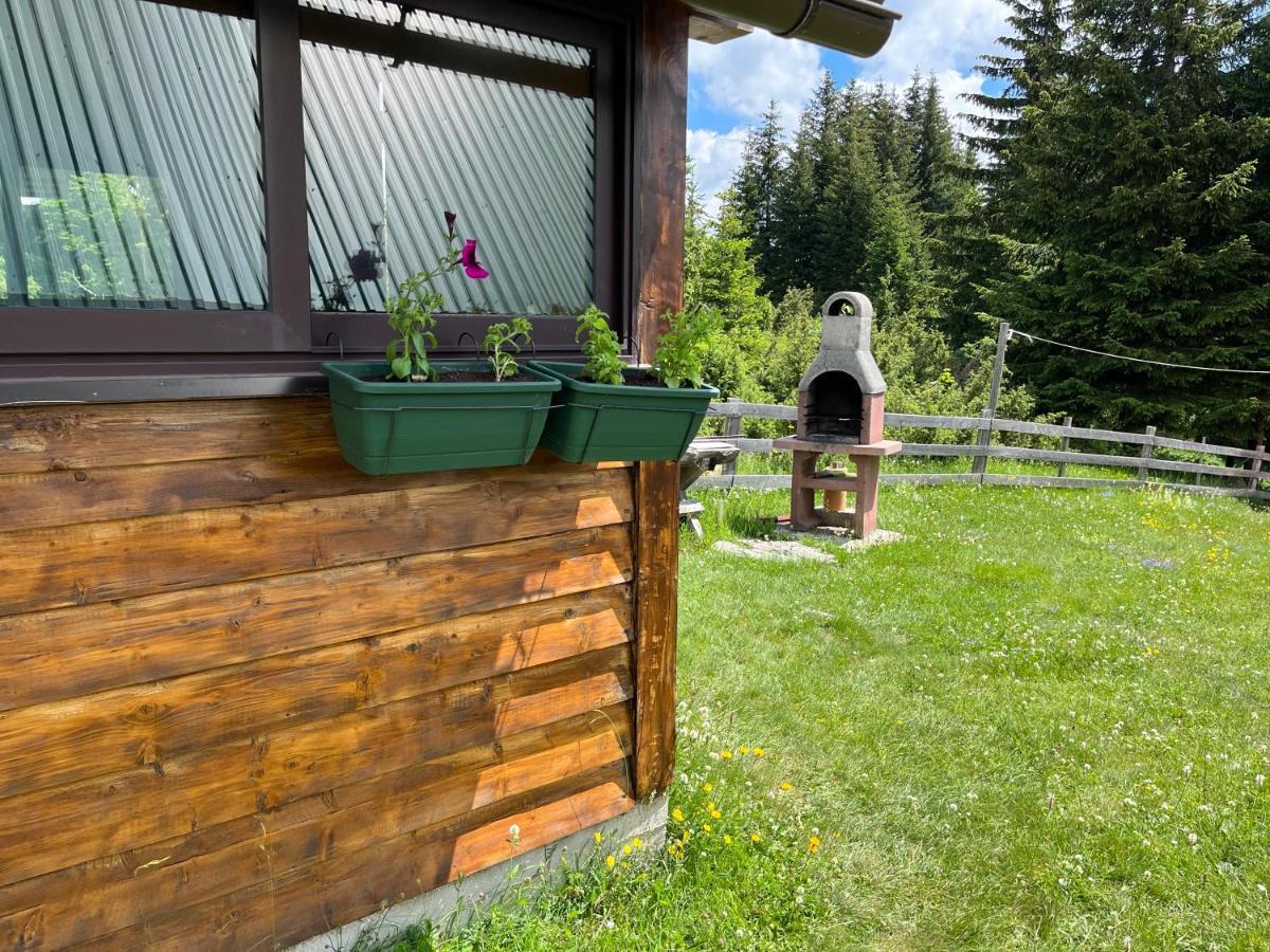 Bungalows Krstajic Žabljak Esterno foto